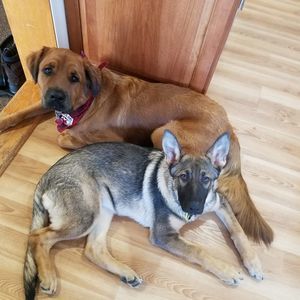 Meet your Posher, Allison